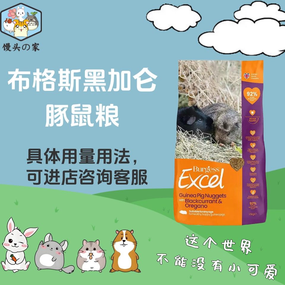 英国Burgess布格斯黑加仑豚鼠粮