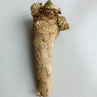 Fresh horseradish, 500g mountain radish, horseradish, non-Japanese wasabi, fresh wasabi thumbnail 6