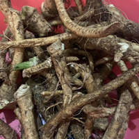 Fresh horseradish, 500g mountain radish, horseradish, non-Japanese wasabi, fresh wasabi thumbnail 8