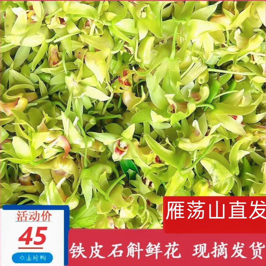 浙江雁荡山新鲜2025 铁皮石斛鲜花 500g花正宗现摘鲜花顺丰包邮
