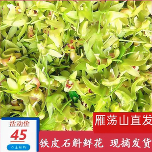 包邮 500g花正宗现摘鲜花顺丰 铁皮石斛鲜花 浙江雁荡山新鲜2025