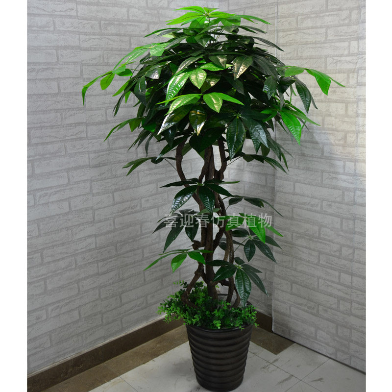 网友分享在meiguo.com的图片