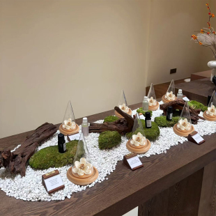 沉浸式SPA放松 闻香器皿解压香味密码不同香味碰撞 找寻你的味道