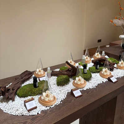 百味闻香器皿找寻不同香味