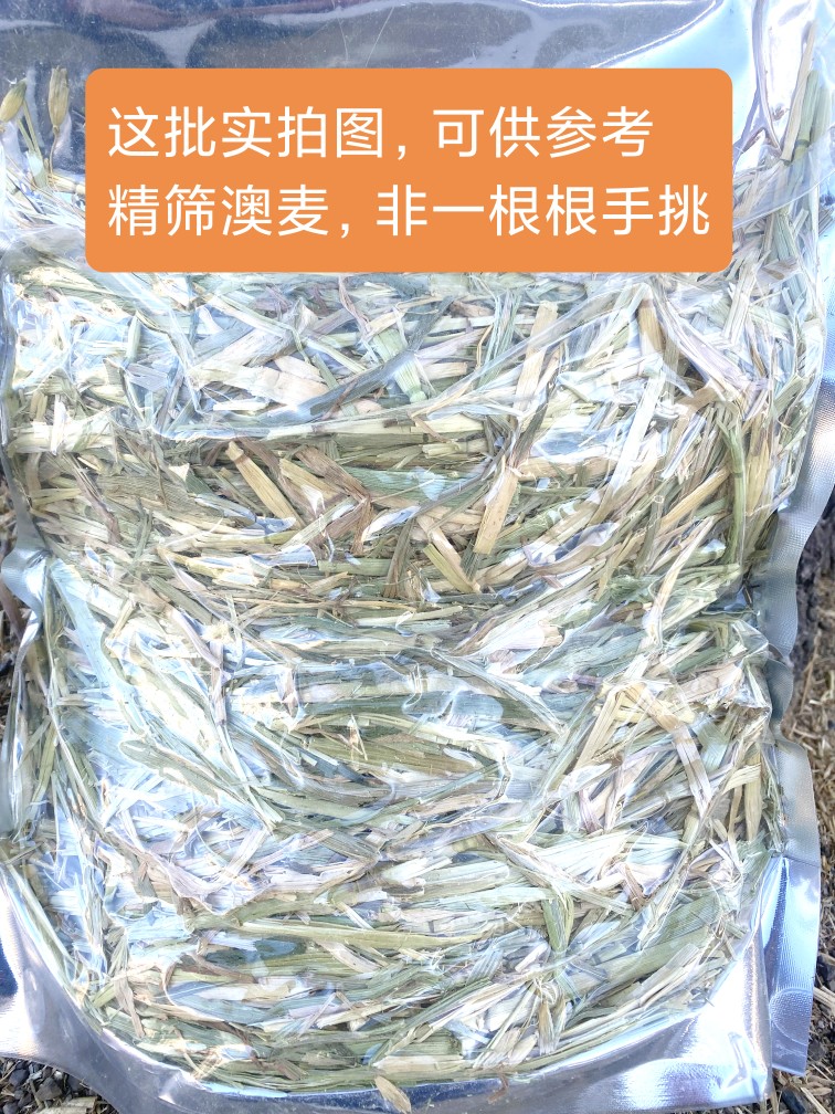 主草青黄澳麦段精筛款澳大利亚燕麦草兔兔小动物干草牧草包邮