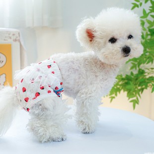 【生理裤集合】宠物狗狗夏装发情月经裤防骚扰小短裤泰迪母狗裤头