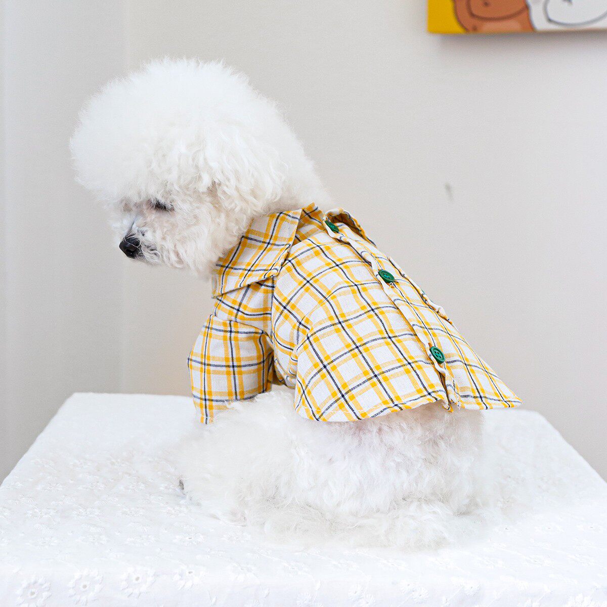 【和平衬衫】宠物衣服狗狗泰迪比熊猫咪男生黄色格子夏季居家服