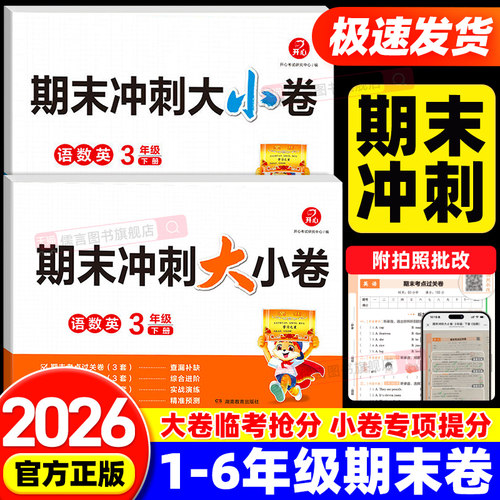 2026春新版开心期末冲刺大小卷小学一二三四五六年级下册期末卷三科合一大卷临考抢分卷小卷专项提分考前模拟试卷冲刺100分一百分