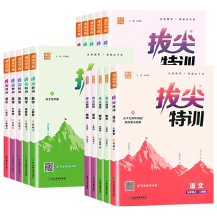 2026拔尖特训初中七八九年级上下册语文数学英语物理化学人教版北师浙教外研初一初二三同步练习册尖子生学案题库真题训练通成学典
