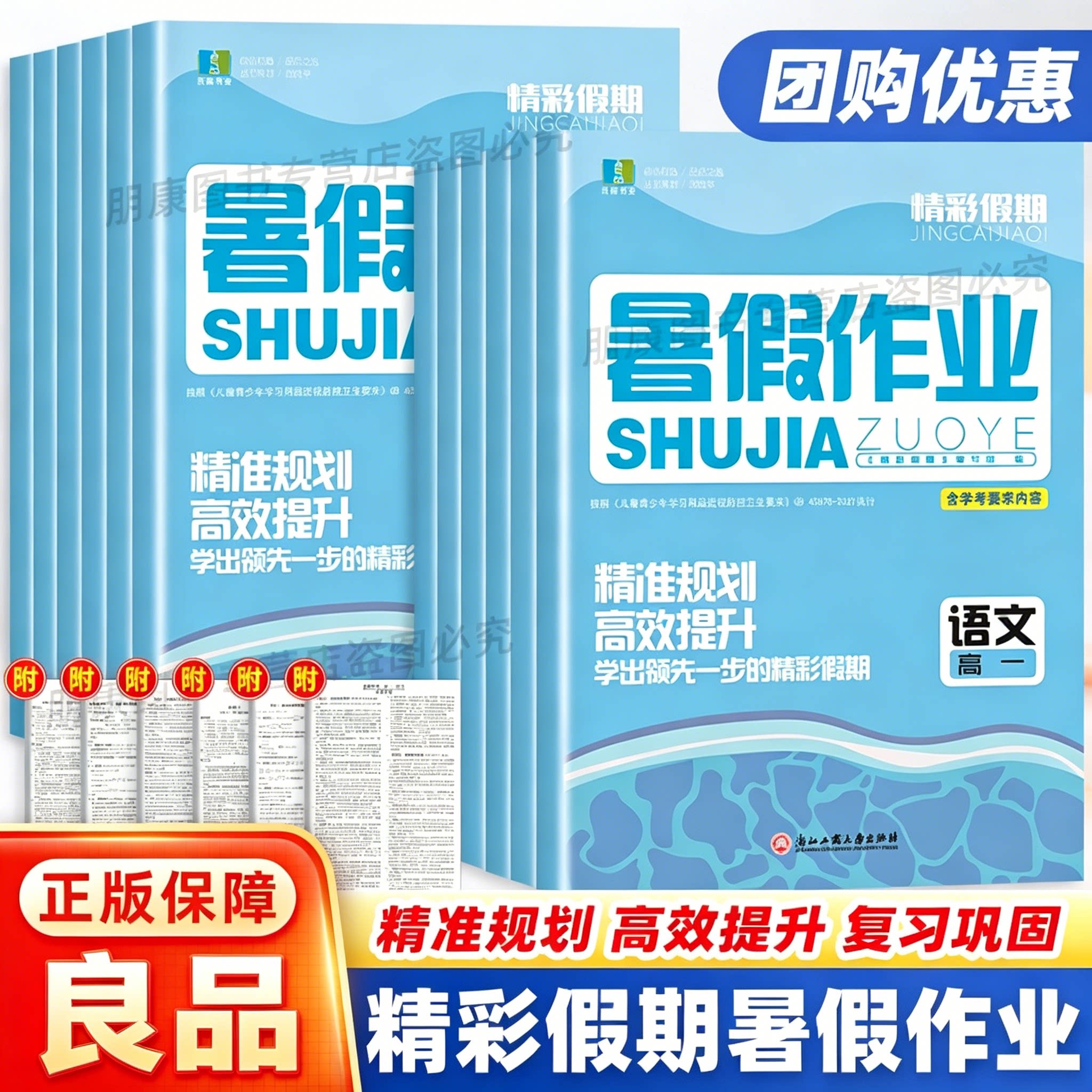 正版现货良品精彩假期暑假作业高一高二语文数学英语历史政治地理物理化学生物新课标高中暑假衔接作业高考冲刺暑假专项提优训练