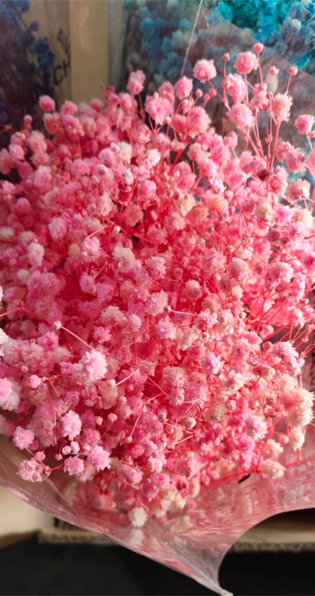 永生花满天星干花永生花满天星花干花/花瓣/干花包/