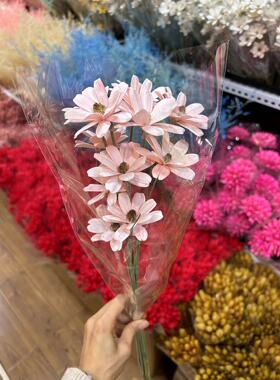 瓜籽花干花永生花瓜籽花手工干花小清新花束插花手工造型DIY摆件