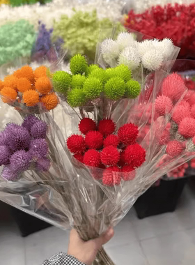 干花永生花千日红永生花草莓果高颜值花束花艺造型手工DIY花材