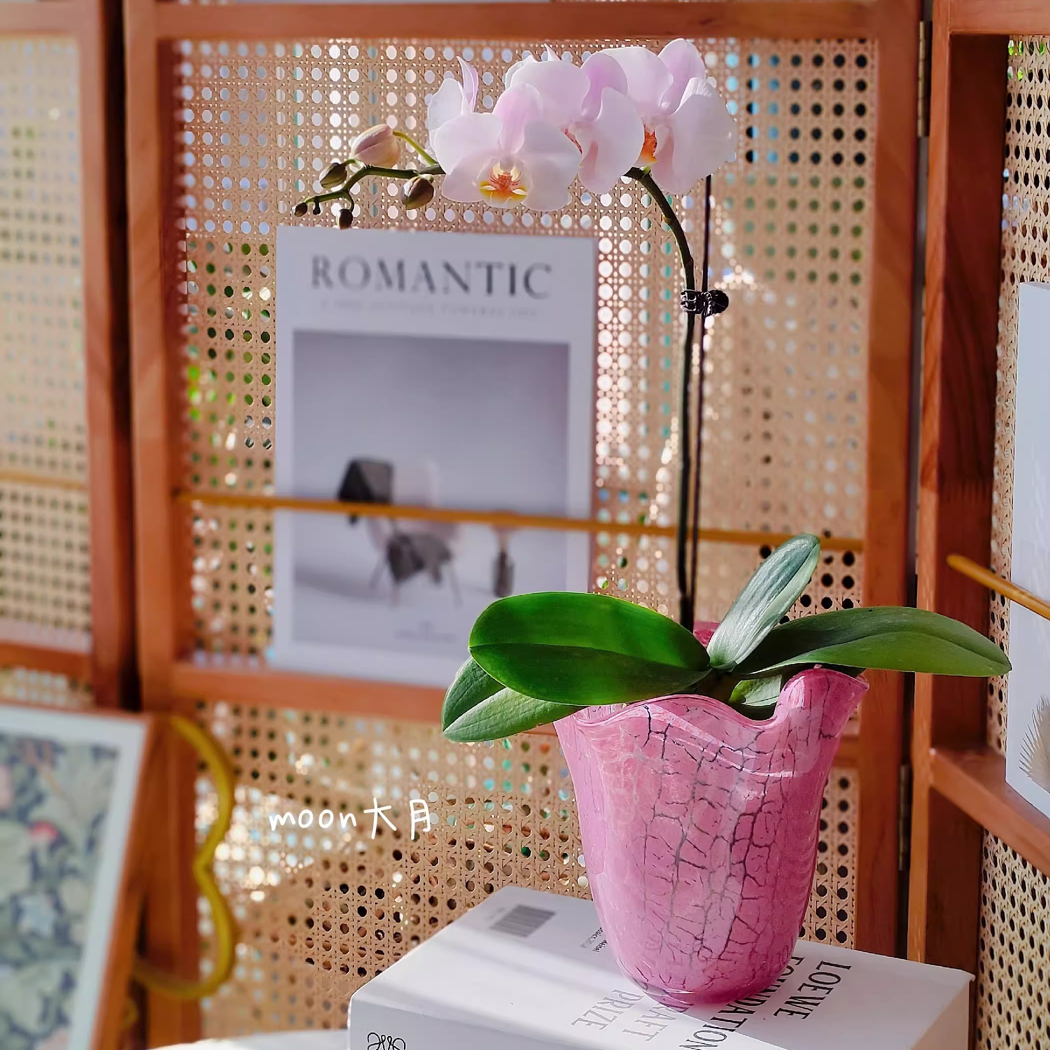 金红玫粉矮白菜手工玻璃花瓶套盆