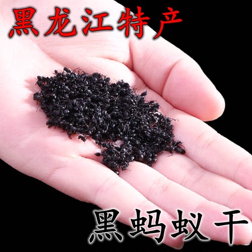 黑蚂蚁干黑龙江特产中药材红蚂蚁