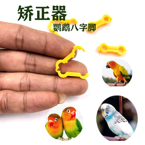 鹦鹉矫正器幼鸟八字脚辅助器八字脚矫正器外八字固定夹康复矫正器