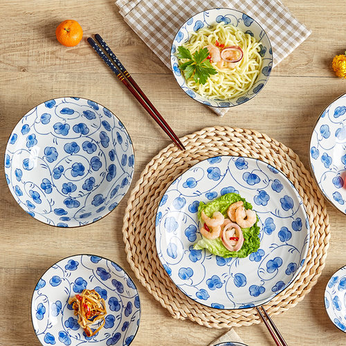 美浓烧日本进口青花圆盘饭碗