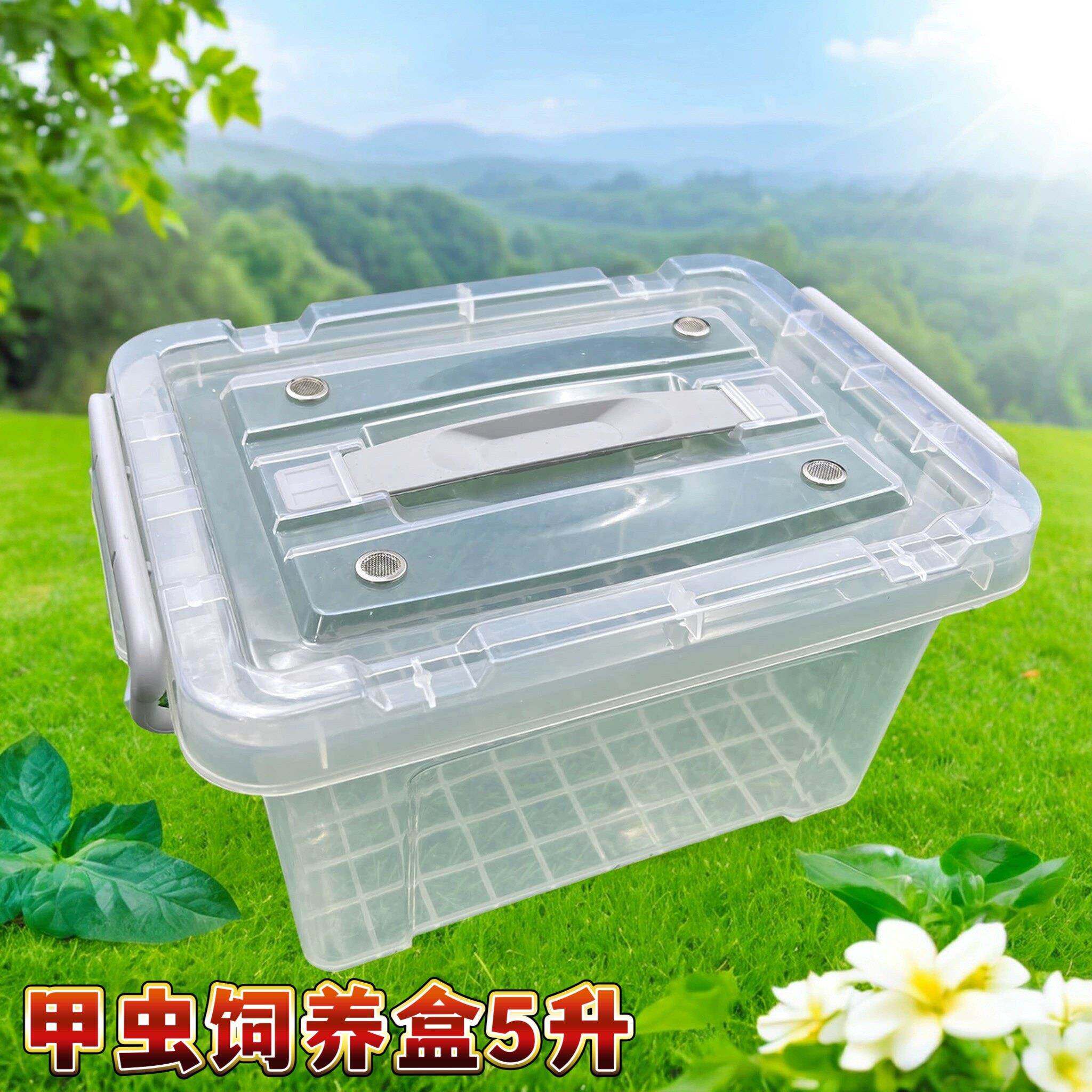 甲虫饲养箱透明专业爬宠箱独角仙姬兜锹甲大兜成虫观赏