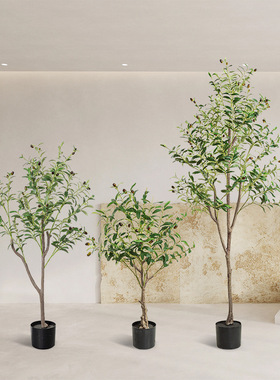 亚马逊大型仿真绿植可拆装橄榄树盆栽家居室内橱窗装饰摆件植物
