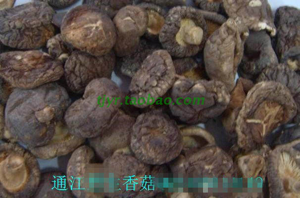 椴木香菇特级 味道香口感好 营养高 美味好吃
