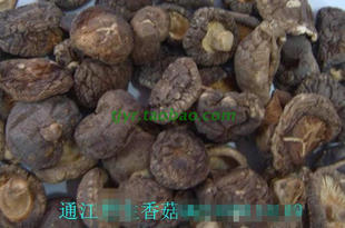 椴木香菇特级 味道香口感好 营养高 美味好吃