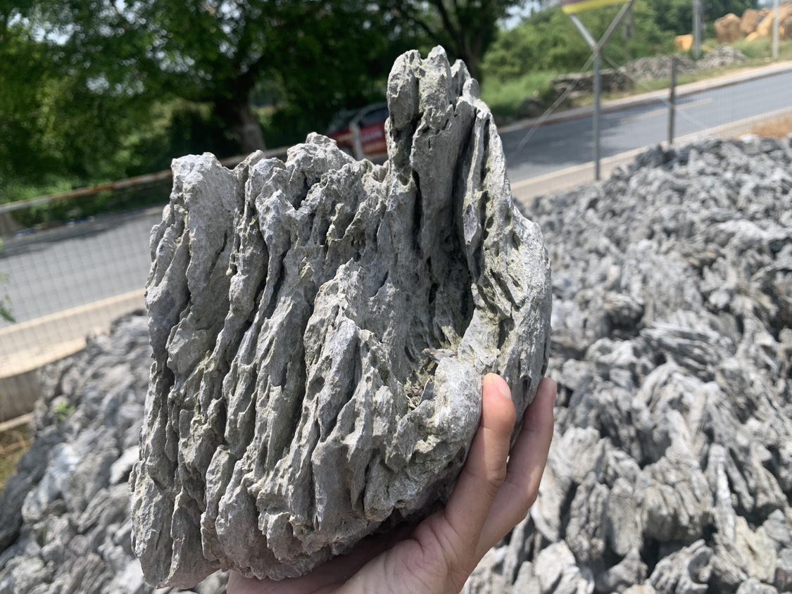 室内摆件石头英德石青龙石