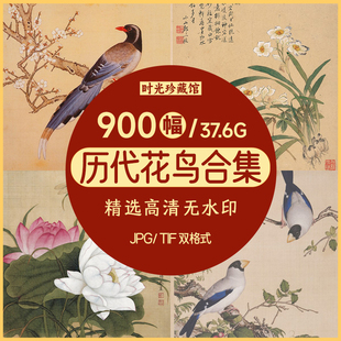 历代花鸟合集工笔国画写意宋人画集画册高清临摹喷绘电子版素材