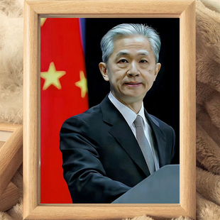 亲和力外交官汪文斌照片相框摆台客厅卧室装饰画框送朋友桌面摆件