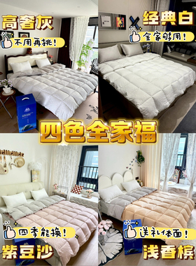 秋冬新款7D恒温仓72宫格立体冬被4床颜色全家够用主卧客卧全配齐
