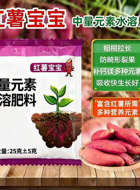 红薯宝宝红薯地瓜生根增加产量多薯宝增产多结薯强力生根壮苗增粗