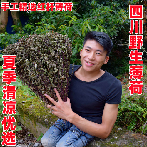 正宗纯天然中药材薄荷500克 红叶干薄荷叶花草茶野生清凉薄荷叶茶