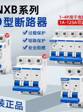 CHNT/正泰NXB小型断路器1P2P3P4P空气开关电闸保护器空开DZ47D型
