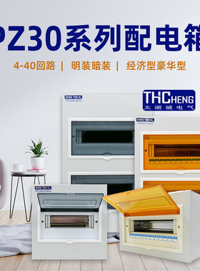 太湖城家用PZ30暗装配电箱明装空气开关保护盒4-40回路电箱单双排