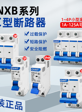 CHNT/正泰NXB小型断路器1P2P3P4P空气开关电闸保护器空开DZ47C型