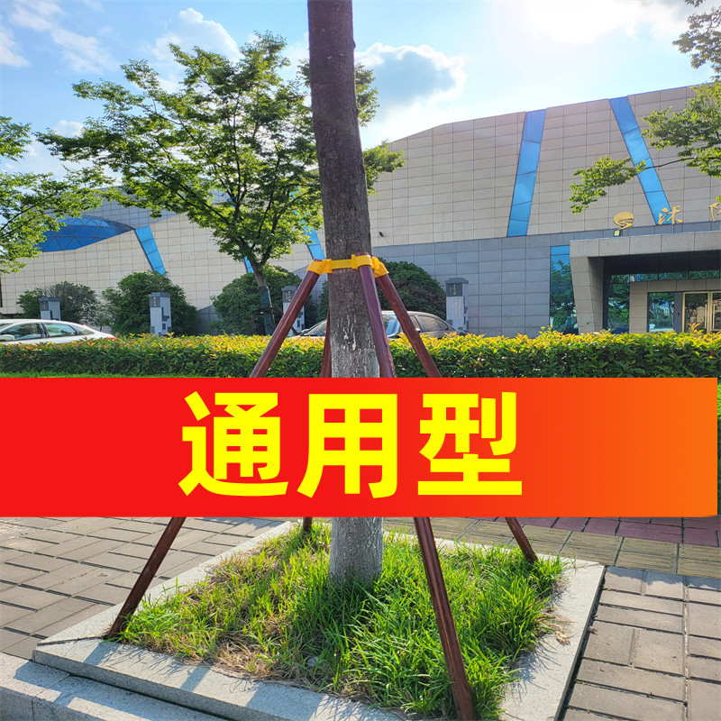 乔木防风园林金属树支撑支架