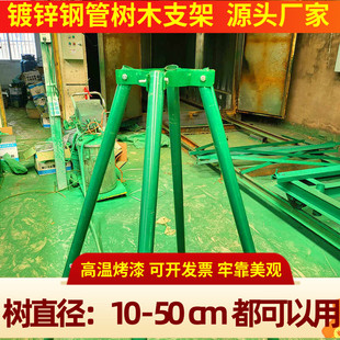 园林绿化镀锌钢管树木支撑架苗木支架防风防倒大树园艺固定器厂家