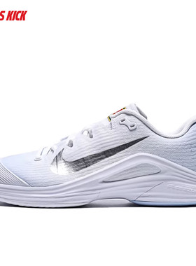 Nike/耐克  ZOOM VAPOR 12 HC 男子硬地球场网球鞋 IR8316-401
