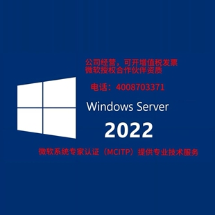 Windows Server 2022/2025授权设备访问服务器/客户端访问许可证
