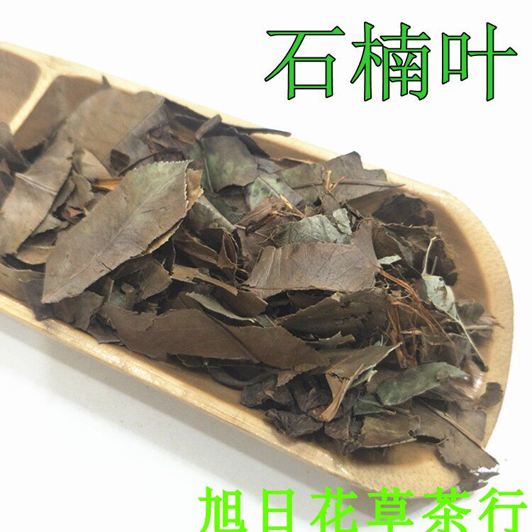 中药材 石楠叶 石南叶红树叶石岩树叶 包邮