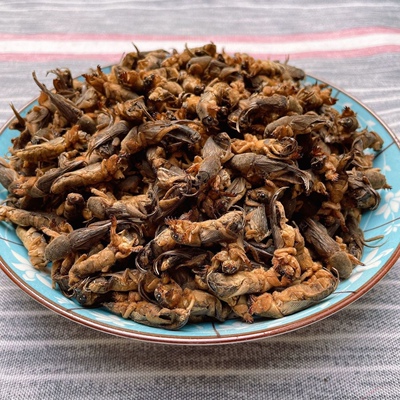 蝼蛄中药材干蝼蛄土狗子地狗子蝲蝲蛄虫干可打粉品质保证500克
