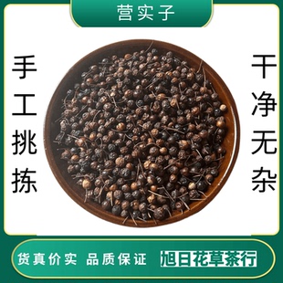 正宗营实子包邮营实籽 蔷薇子 野蔷薇子 蔷薇子中药材另有功劳子