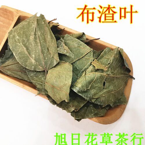 布渣叶 中药材布渣叶 破布叶 蓑衣子 薢宝叶 烂布叶 包邮