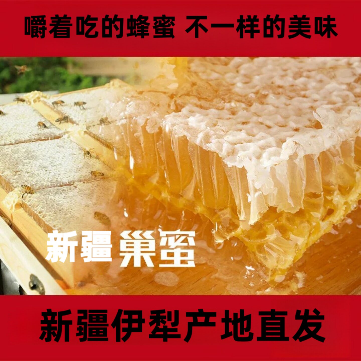 蜂巢蜜嚼着吃纯正天然非野生农家自产老巢蜜一斤装百花蜂蜜老蜂巢
