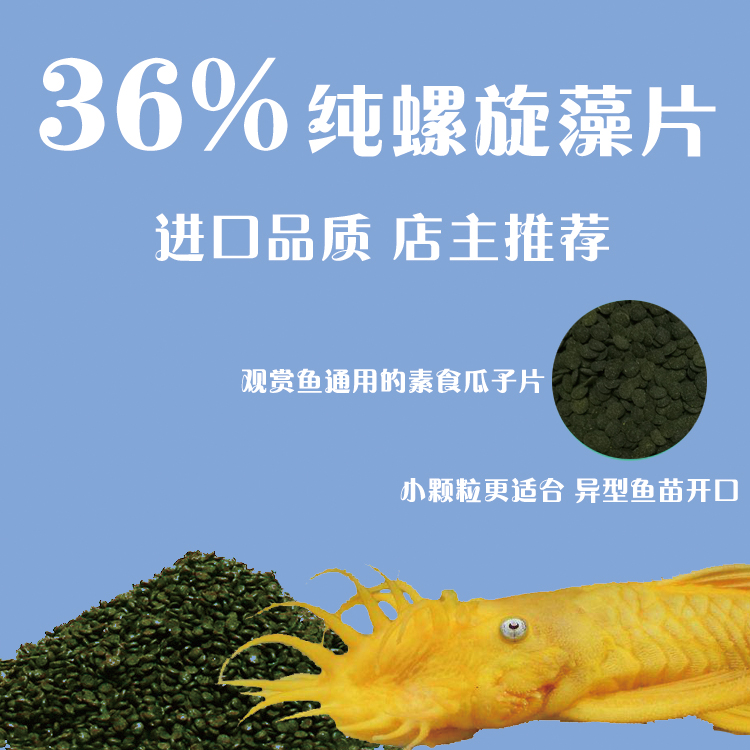 进口36%螺旋藻片 观赏鱼异型鱼苗开口胡子大帆鱼食（非卓必客） 宠物/宠物食品及用品 观赏鱼饲料 原图主图