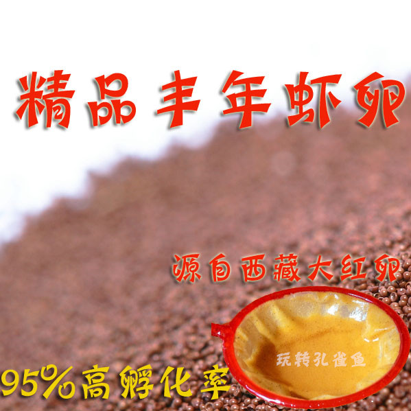 孔雀鱼丰年大红卵孵化率