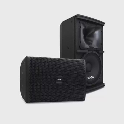 DAM卡包箱GS1200音箱12寸专业家用KTV卡拉ok家庭唱歌
