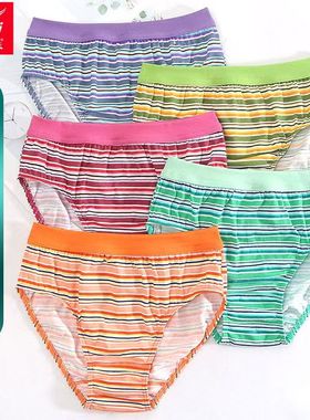 6条 正品富妮来女式加肥大码棉裤头舒适全棉时尚三角纯棉内裤2073