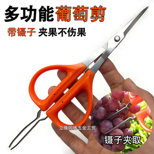 不锈钢葡萄剪蔬果稀果专用剪刀嫩芽剪修果带镊夹多功能翘头园艺剪