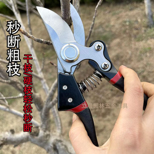 园艺剪果树修枝剪刀进口SK5钢