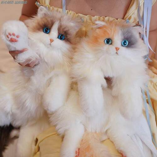 小猫咪仿真玩具布偶猫背包书包女